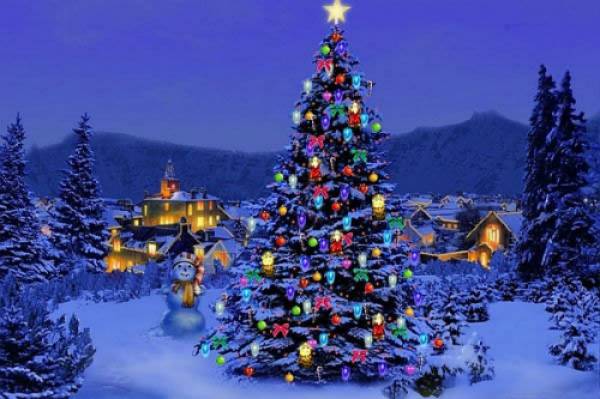 Vì sao có truyền thống trang trí và thắp sáng cây Noel