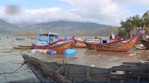 Khánh Hòa: Người lao động làm việc tại DN bị ảnh hưởng bão số 12 sẽ được tạm dừng đóng BHX