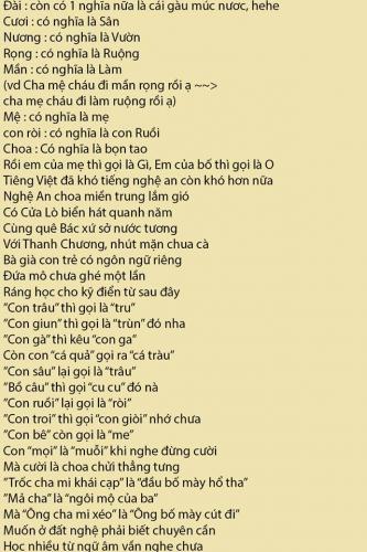 Từ điển Tiếng Nghệ An Va Sự Hoang Mang đầy Ngọt Ngao Của Co Dau Xứ Bắc Tinh Bột Nghệ Nguyen Chất Ba Ba Xứ Nghệ