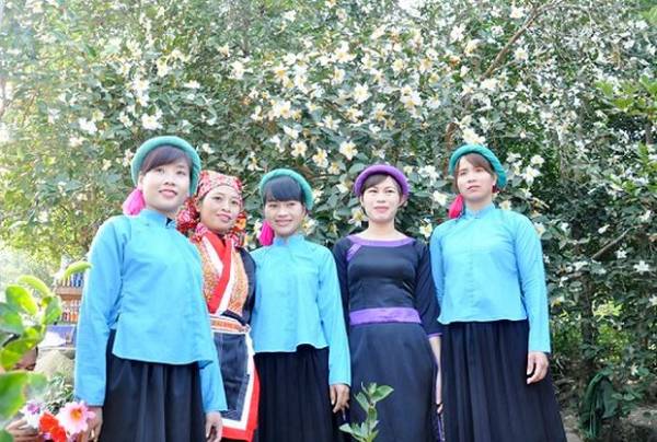 Thiếu nữ Bình Liêu dạng ngời bên hoa Sở trắng