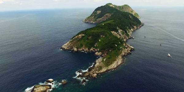 Nằm cách bờ biển bang São Paulo của Brazil khoảng 33 km, đảo Ilha de Queimada Grande nổi tiếng là một trong những vùng đất nguy hiểm trên thế giới. Ảnh: Amigos do Joe.