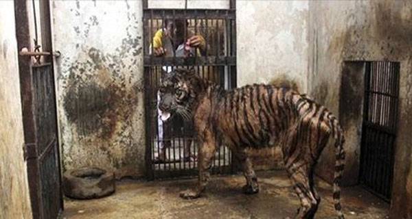 Nơi này được mệnh danh là ‘sở thú tàn độc nhất thế giới’