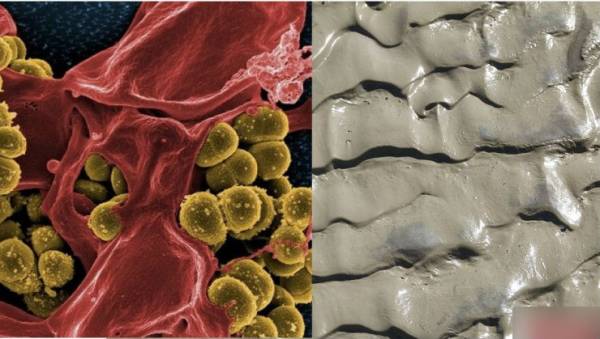 Phát minh y học mới: thuốc kháng sinh chế tạo từ bùn đất