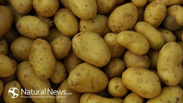 Nước ép khoai tây có rất nhiều tác dụng