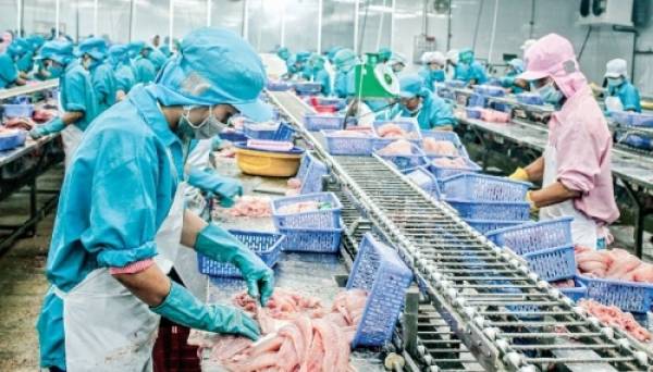 Các DN đang nỗ lực đẩy mạnh xuất khẩu