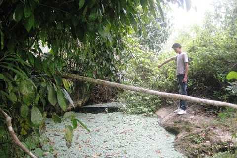 Hang nước mang nhiều câu chuyện kỳ lạ và huyền bí.
