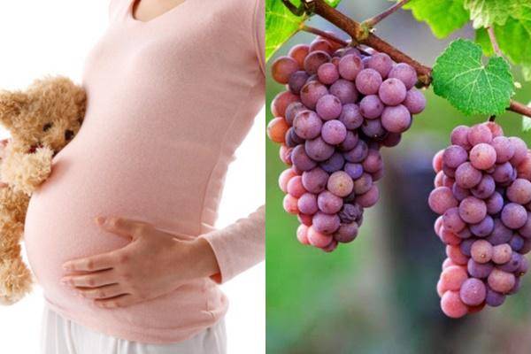 Kết quả hình ảnh cho bà bầu nên Än nho