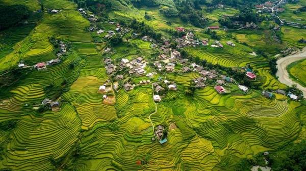 Thu sang là thời điểm lý tưởng nhất để ghé thăm Sa Pa