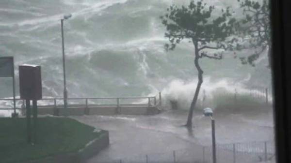 Bão Mangkhut. Ảnh: Hindustan.