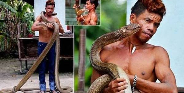 Theo thông tin đăng tải, mới đây, tại một ngôi làng ở Riau, Indonesia, có hai con rắn hổ mang khổng lồ đã xuất hiện, dọa dân trong làng không dám đi ra ngoài.