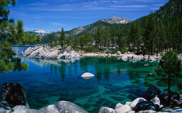 lake-tahoe-immica-805