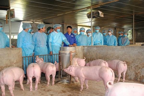 Thực hành giao dịch trên các tùy chọn nhị phân Thực hành giao dịch trên các tùy chọn nhị phân
