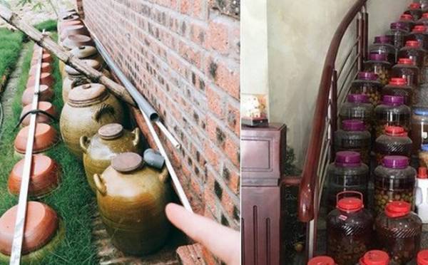 Tội cho chàng rể ấy: Muốn hẹn hò bạn gái phải ‘vượt qua’ mấy chục hũ rượu của bố vợ