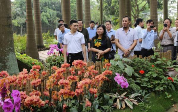 Vườn ươm hoa Lan, nơi ông Kim Jong-un đến thăm trong khuôn khổ Hội nghị Thượng đỉnh Mỹ - Triều cuối tháng 2/2019