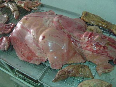 banh9.jpg