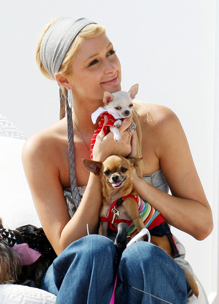 Jose recommends best of Is paris hilton a bisexual paris a Is bisexual hilton