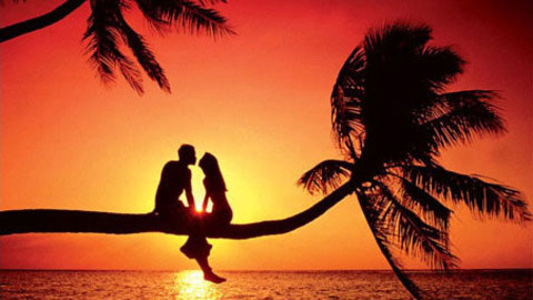 18 Năm Chờ Đợi Tình Yêu