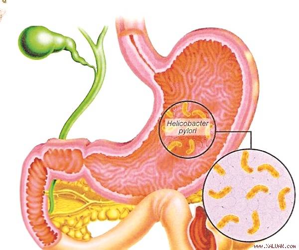 4552cd4fda0c2d.img.jpg