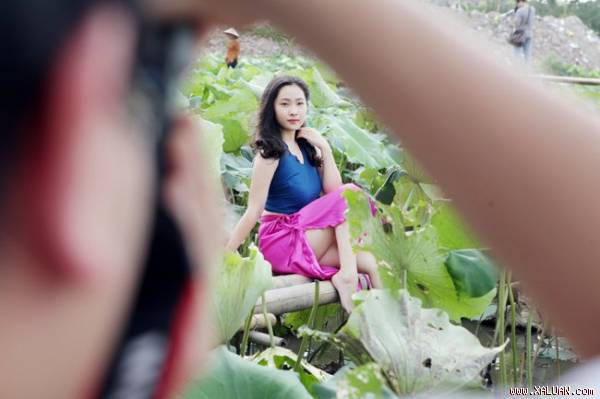 Thiếu nữ Hà thành ‘lăn lê bò toài’ chụp ảnh cùng sen