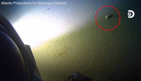 Nhóm thám hiểm đã phát hiện ra một túi nhựa (khoanh tròn) và vỏ kẹo...