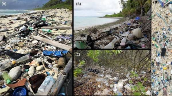 Tình trạng rác thải nhựa là vấn nạn nhức nhối trong hơn thập kỷ qua mà chưa có những biện pháp xử lý cụ thể
