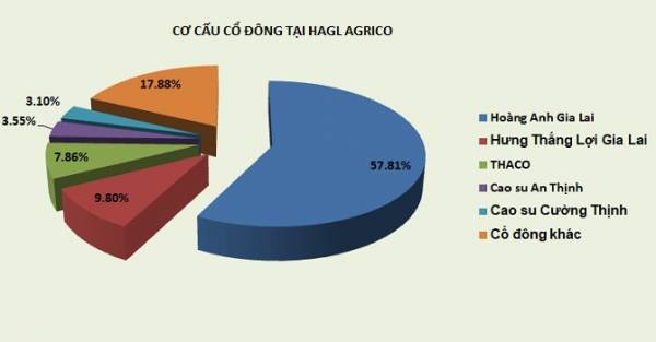 Sau THACO, một giao dịch 37 triệu cổ phiếu HAGL Agrico được sang tay