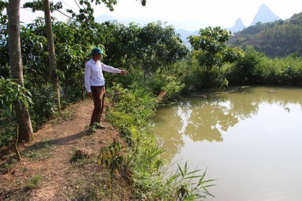 Mô hình kinh tế trang trại của anh Lò Văn Khuyên.