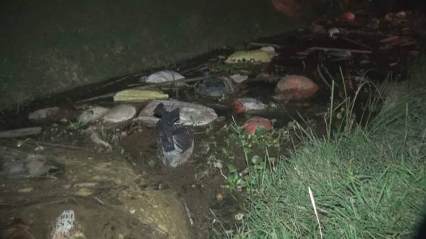 Hàng chục con lợn chết đựng trong các bao tải trôi trên kênh N9