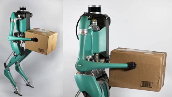 Robot giao hàng Digit