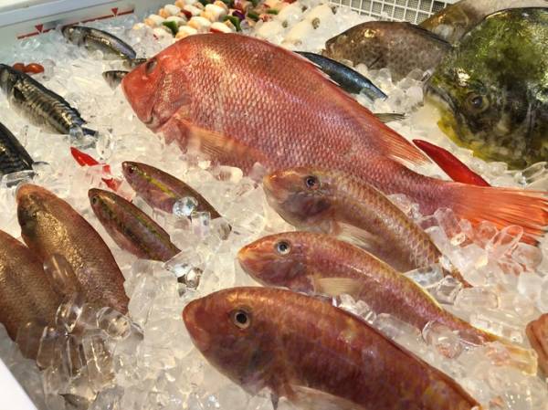 Trung Quốc miễn thuế cho thủy sản Việt vì dịch tả lợn châu Phi