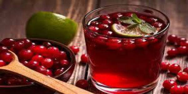 Quả nam việt quất tăng cường hiệu quả của thuốc kháng sinh