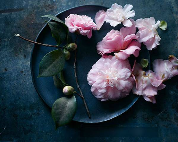 Buông tay nhau như chưa từng