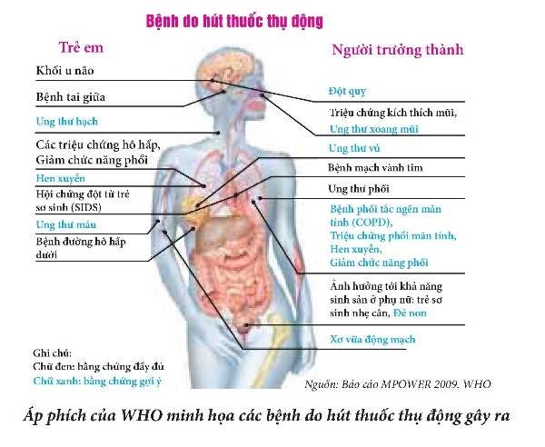 Hút thuốc lá ảnh hưởng nghiêm trọng đến sức khỏe sinh sản