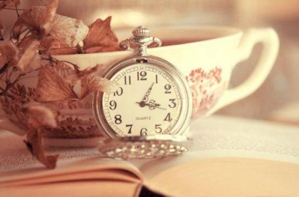 Những hạt đậu