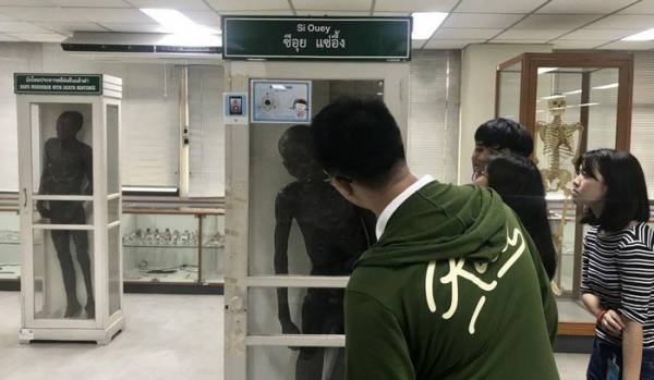 Si Quey vẫn luôn là vật trưng bày đắt giá nhất tại Bảo tàng Pháp y bệnh viện Siriraj. Ảnh: South China Morning Post.