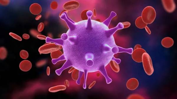  Lần đầu tiên các nhà khoa học đã loại bỏ thành công HIV khỏi bộ gene của sinh vật sống.