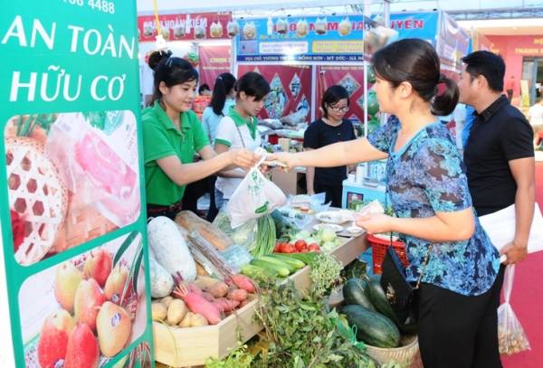 Sản phẩm rau an toàn được hỗ trợ tiêu thụ