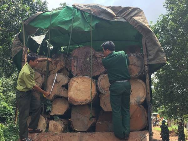 Xe gỗ lậu bị bắt tại xã Ia Chía năm 2016