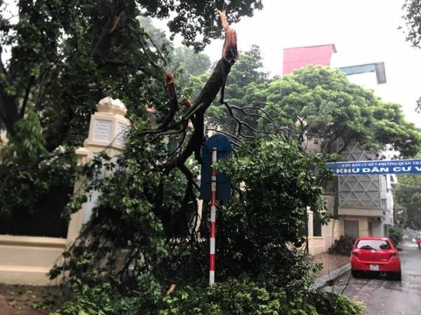 Cành cây cổ thụ gãy đổ trên phố Phan Đình Phùng, quận Ba Đình, Hà Nội