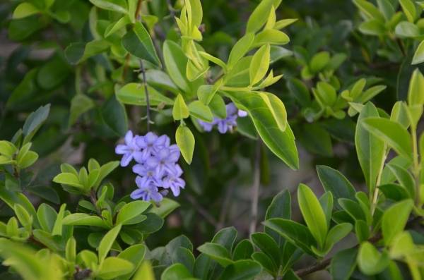 10 điều phải chú ý nếu muốn cuộc hôn nhân bền vững