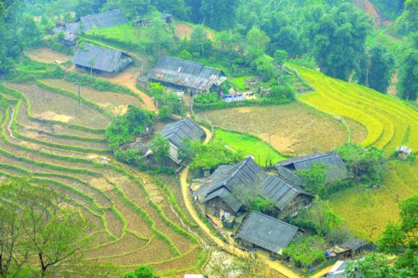 Ảnh minh họa: Tạ Tôn