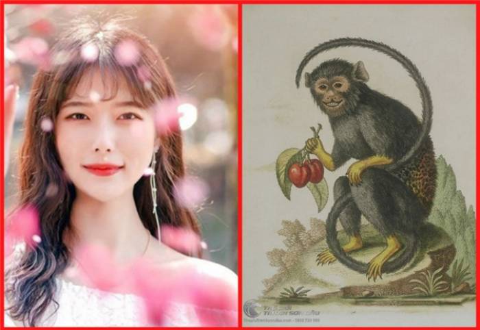 3 con giáp có số hưởng lộc, quý nhân mở đường, thần tài thổi lộc đến tận nhà trong tháng 9/2019