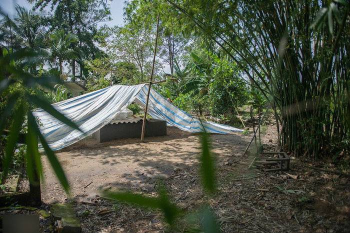 Người phi công an hùng sẽ an nghỉ dưới bóng khóm tre mát rượi nơi vườn nhà.