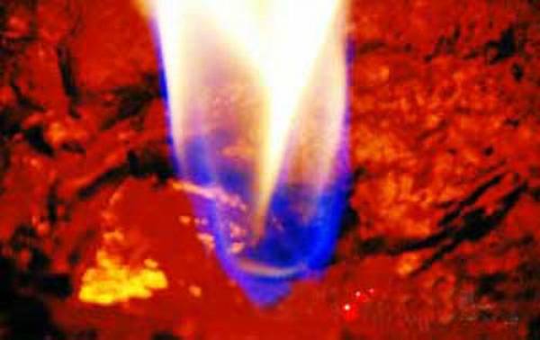 Bí ẩn về cánh đồng “quỷ” ở Trung Quốc