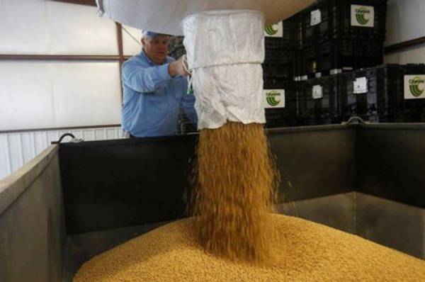 Trung Quốc thu mua 1 triệu tấn đậu nành Mỹ