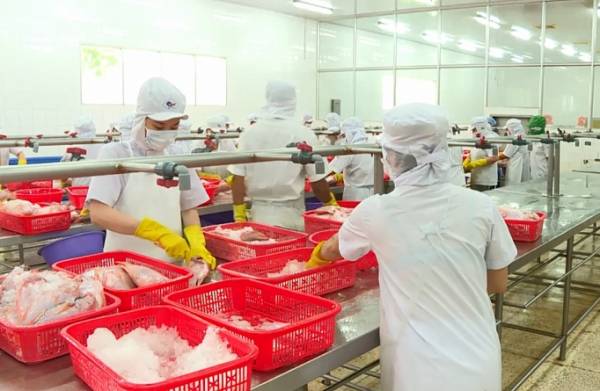 Đơn hàng xuất khẩu sang các thị trường có FTA với Việt Nam đa số đều đạt mức tăng trưởng tốt