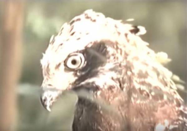 Ảnh cắt từ clip