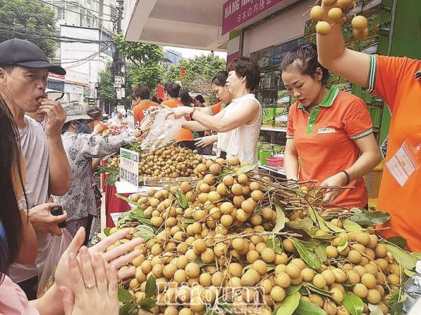 XK rau quả Việt Nam đã và đang đối diện nhiều khó khăn tại thị trường XK chủ lực. Ảnh: N.Thanh.