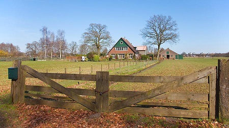 Trang trại tại Hà Lan Ảnh: TASS