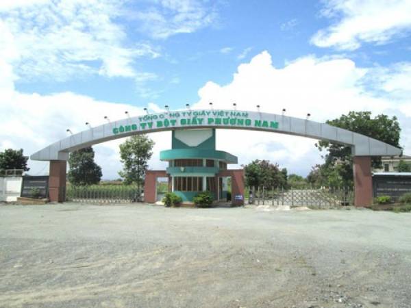 Nhà máy Bột giấy Phương Nam, một dự án thua lỗ của ngành công thương, được xử lý bằng tổ chức bán đấu giá nhưng không thành công Ảnh: HỒNG MINH